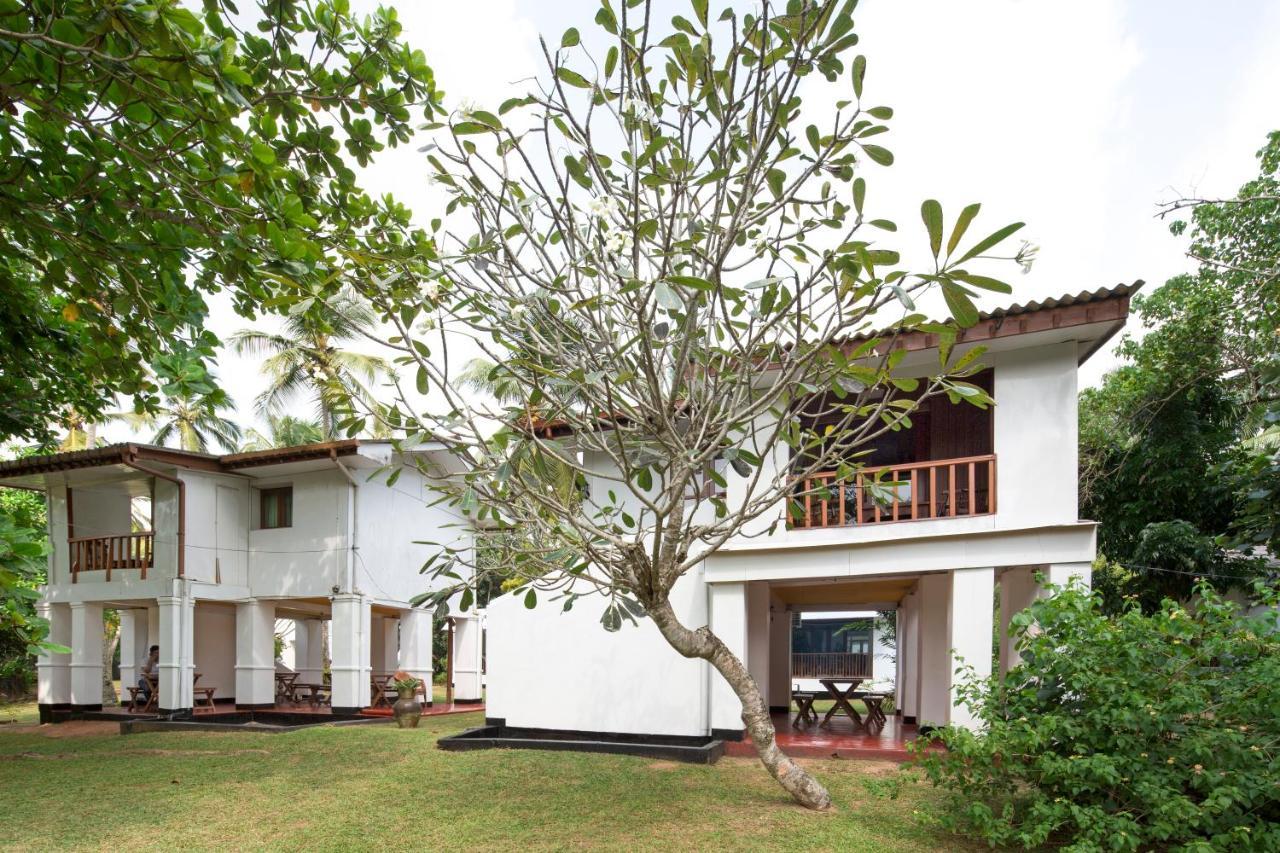 Palm Beach Inn & Sea Shells Cabanas Bentota Exterior foto